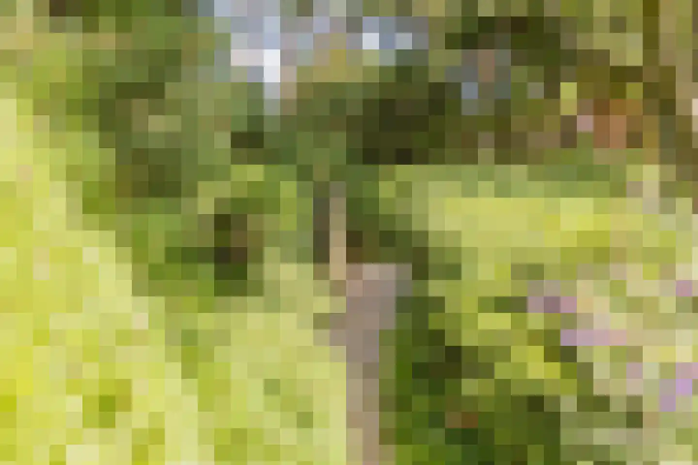 Dennenweg 8 Noordwijk thumbnail 75