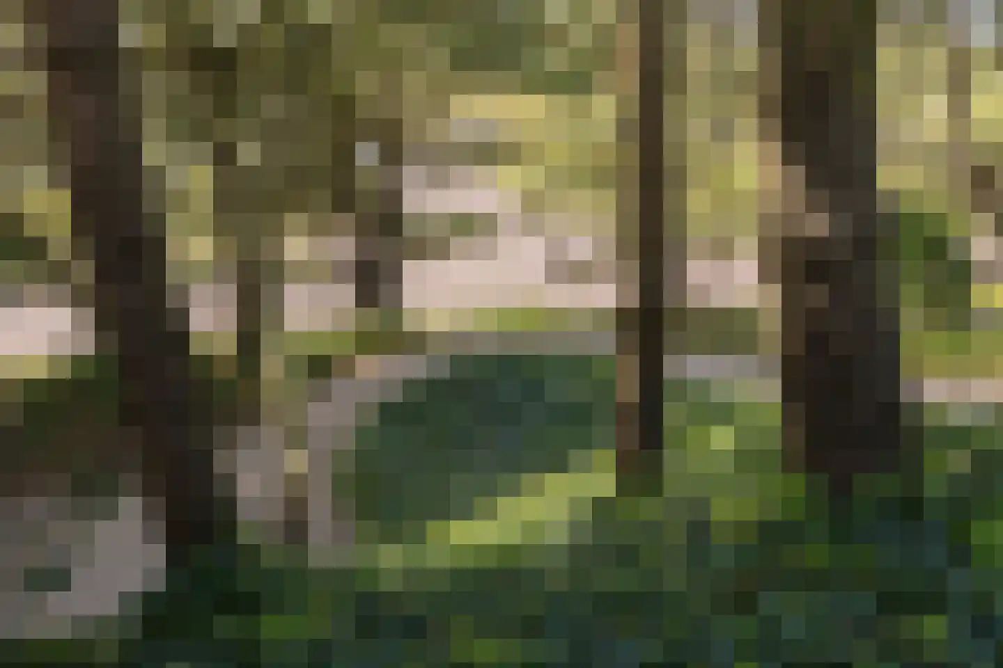 Dennenweg 8 Noordwijk thumbnail 76