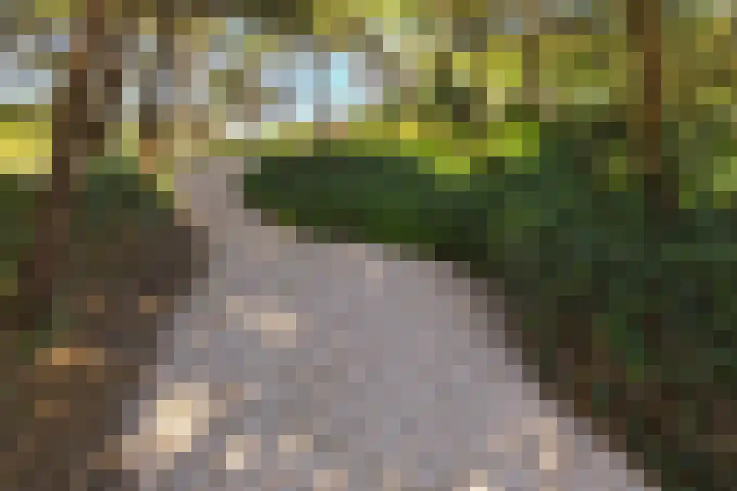 Dennenweg 8 Noordwijk thumbnail 77
