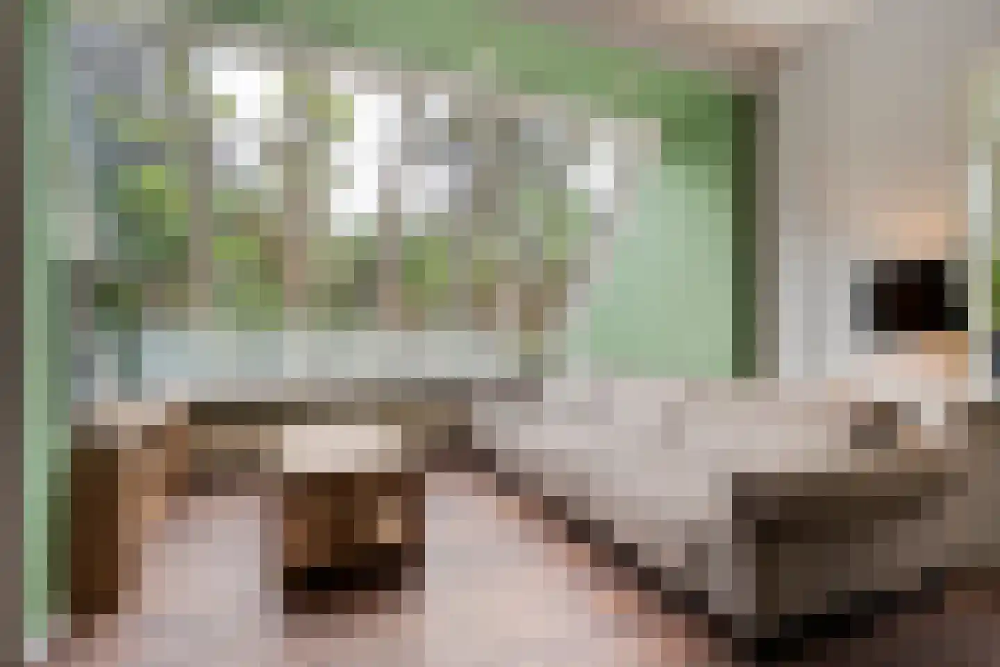 Dennenweg 8 Zandpol thumbnail 12