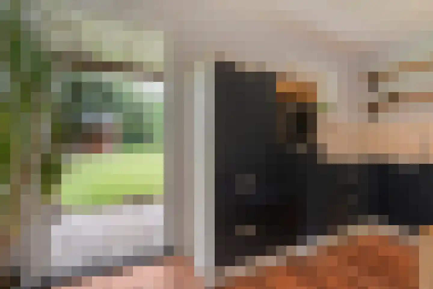 Dennenweg 8 Zandpol thumbnail 19