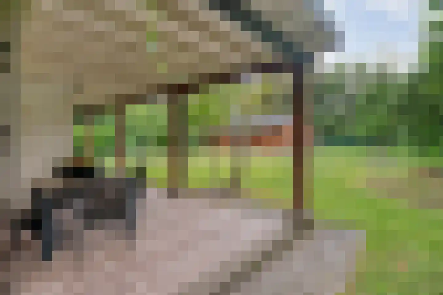 Dennenweg 8 Zandpol thumbnail 5
