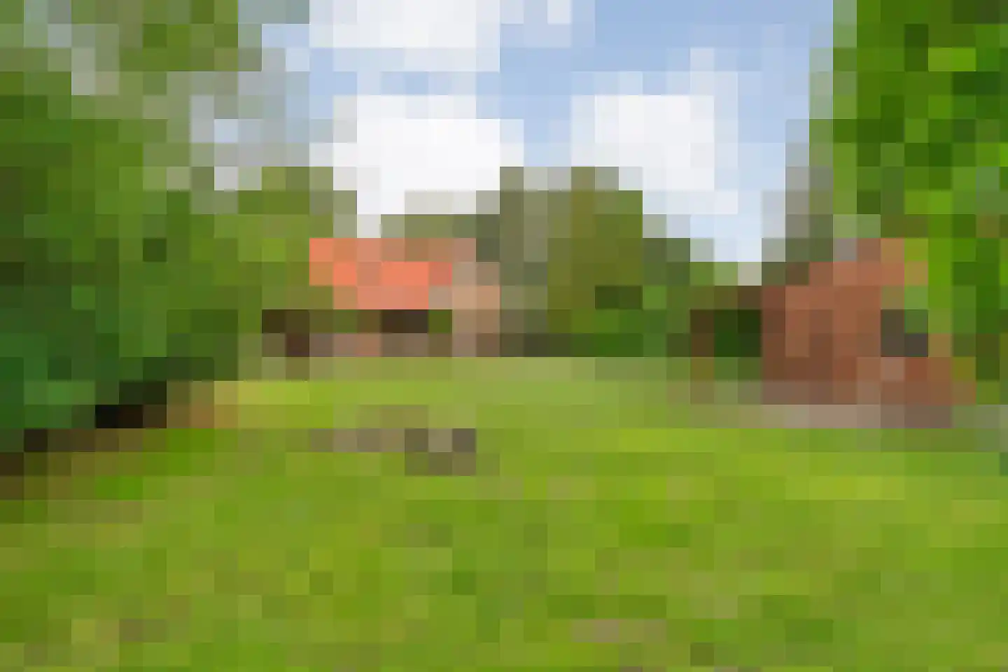 Dennenweg 8 Zandpol thumbnail 55