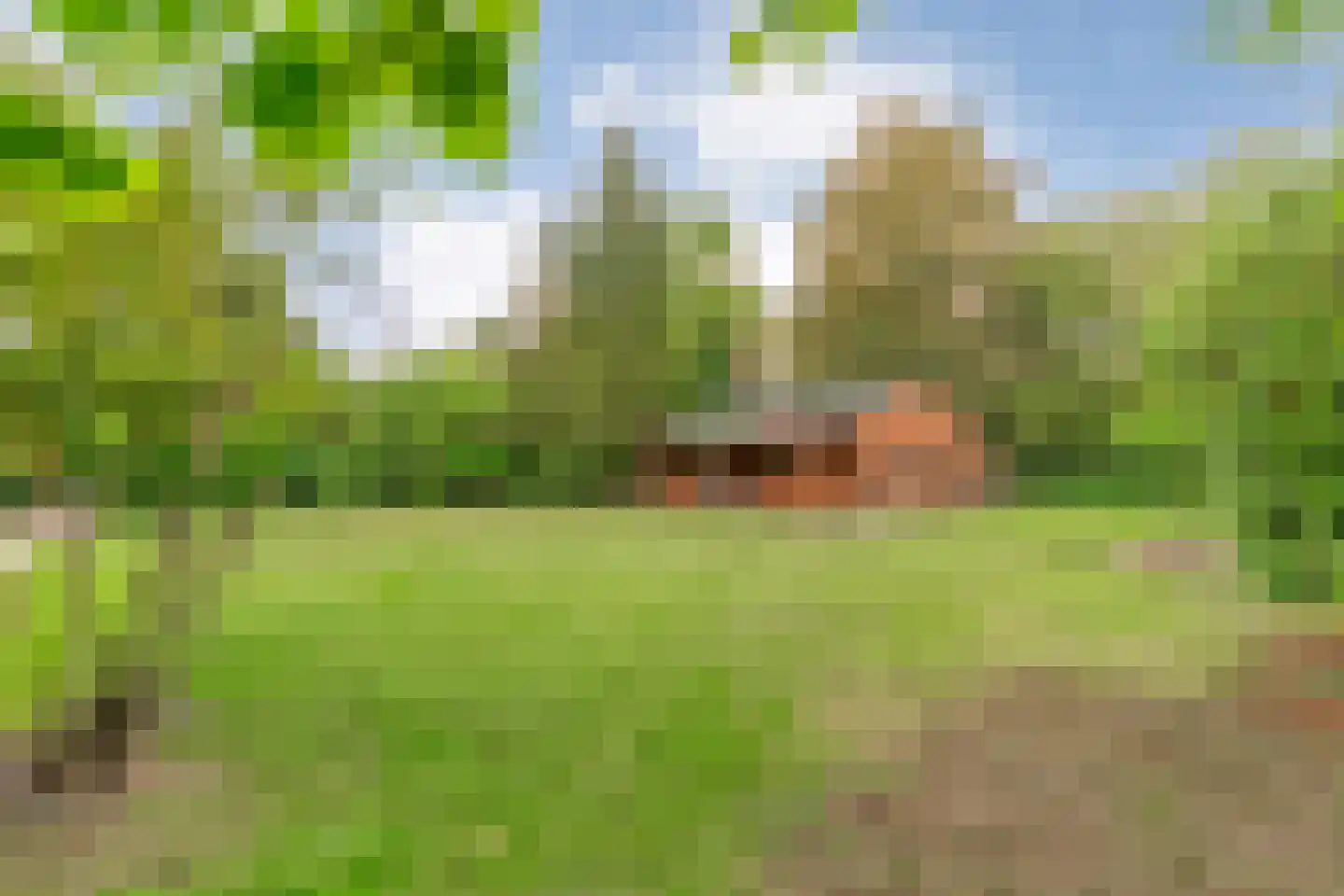 Dennenweg 8 Zandpol thumbnail 60