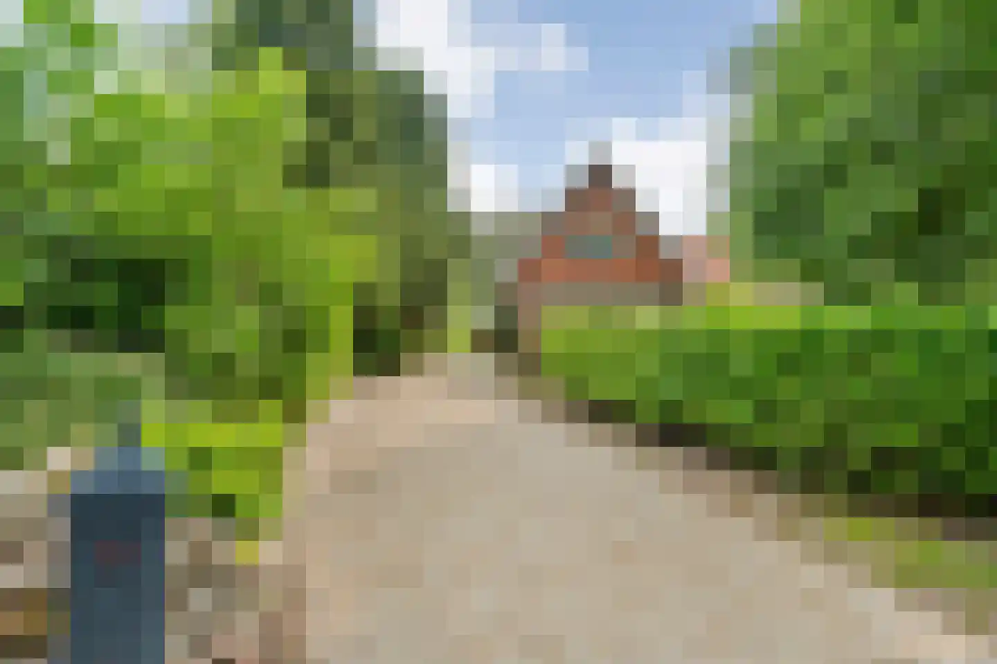 Dennenweg 8 Zandpol thumbnail 63