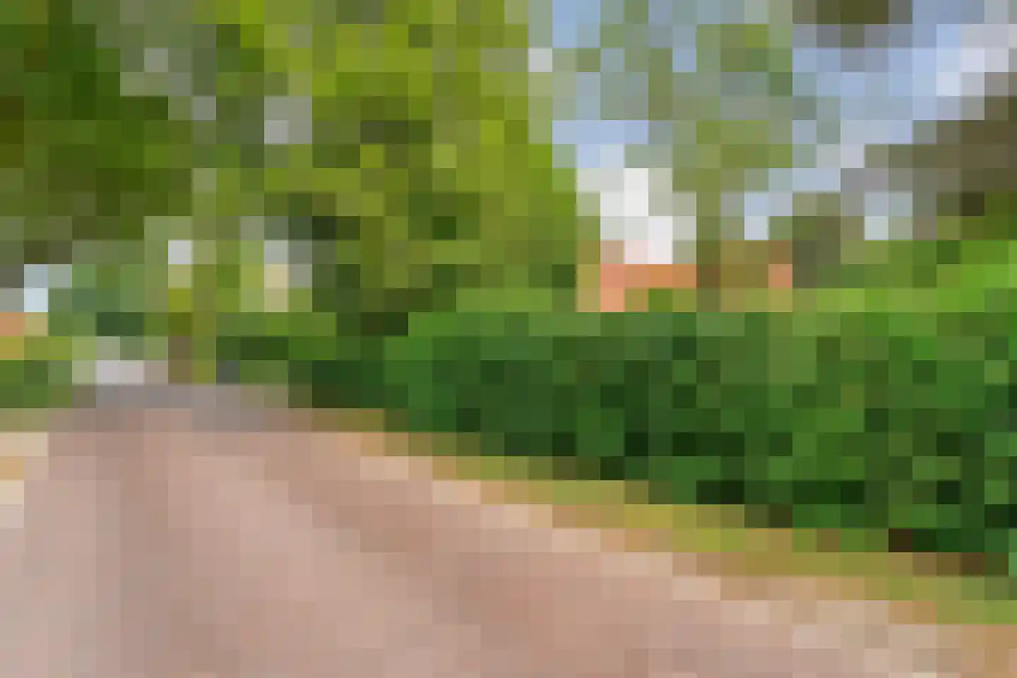 Dennenweg 8 Zandpol thumbnail 65