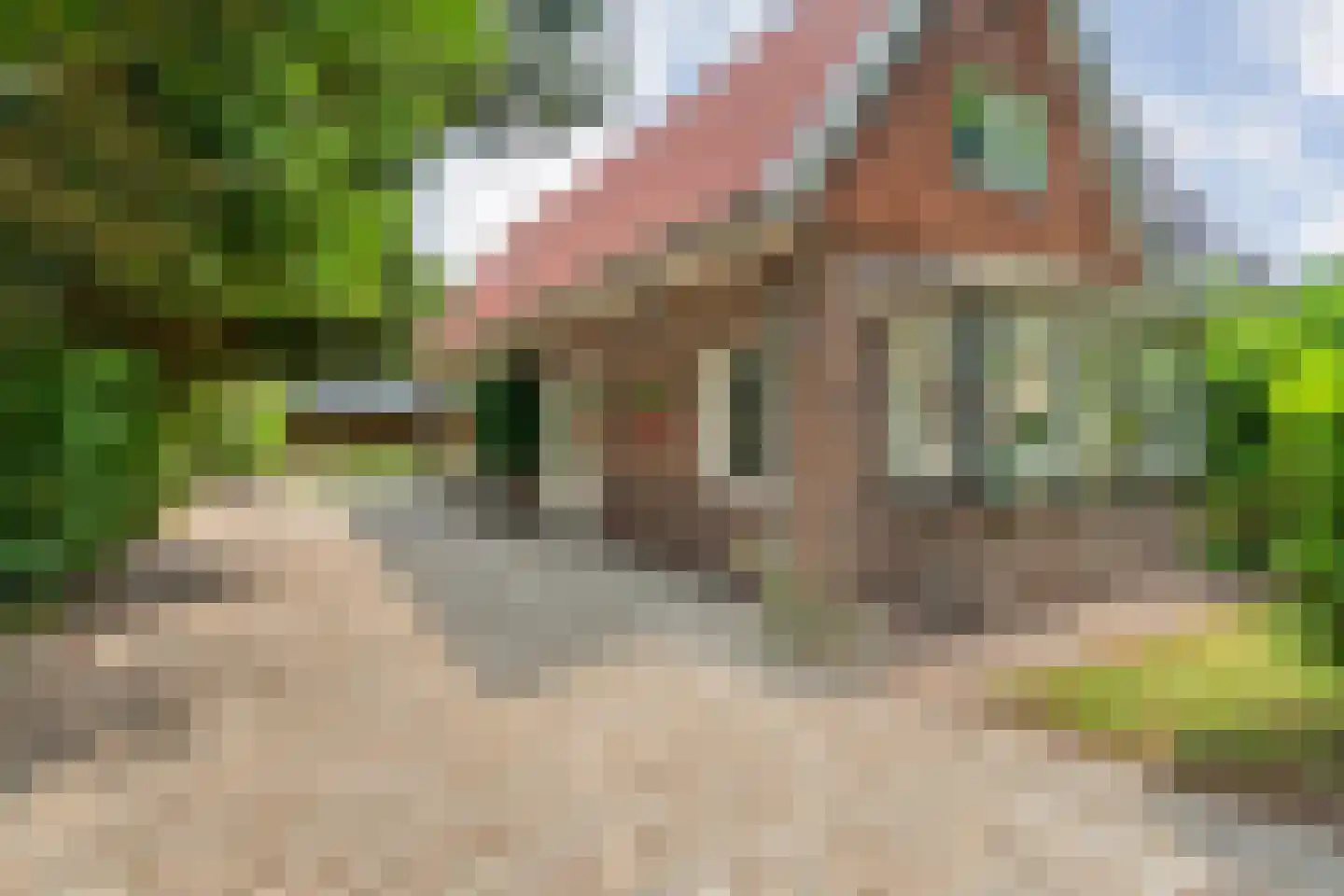 Dennenweg 8 Zandpol thumbnail 7