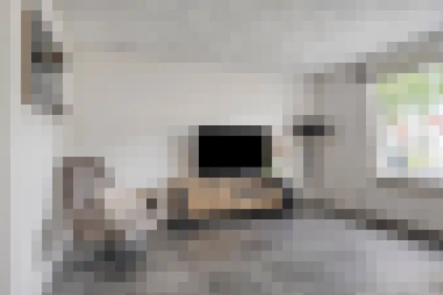 Dennerode 22 Helmond thumbnail 14