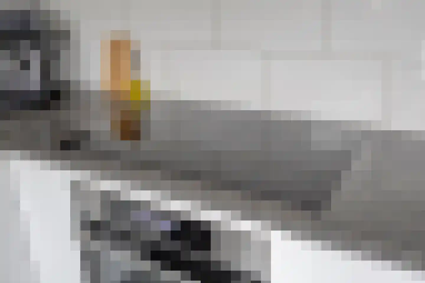 Dennerode 22 Helmond thumbnail 21