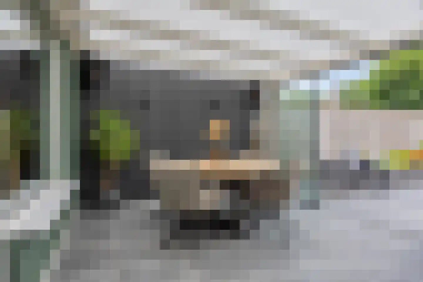 Dennerode 22 Helmond thumbnail 33