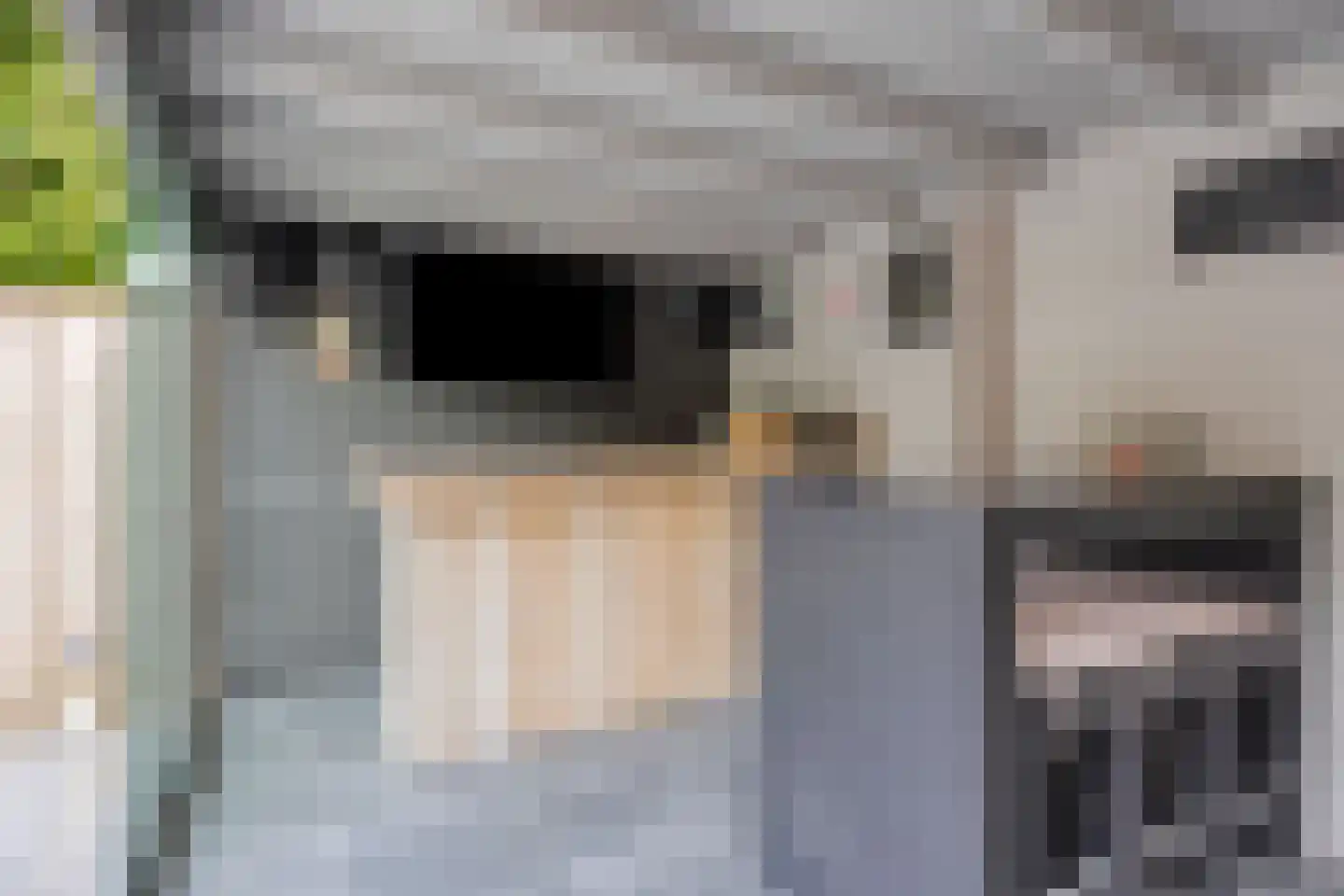 Dennerode 22 Helmond thumbnail 38