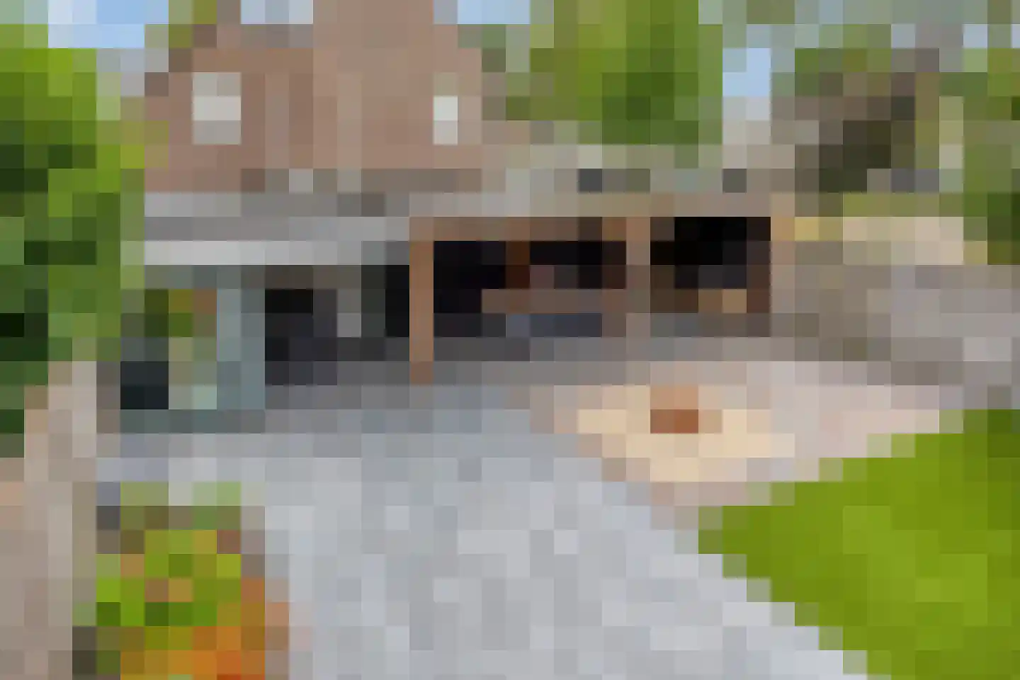 Dennerode 22 Helmond thumbnail 40