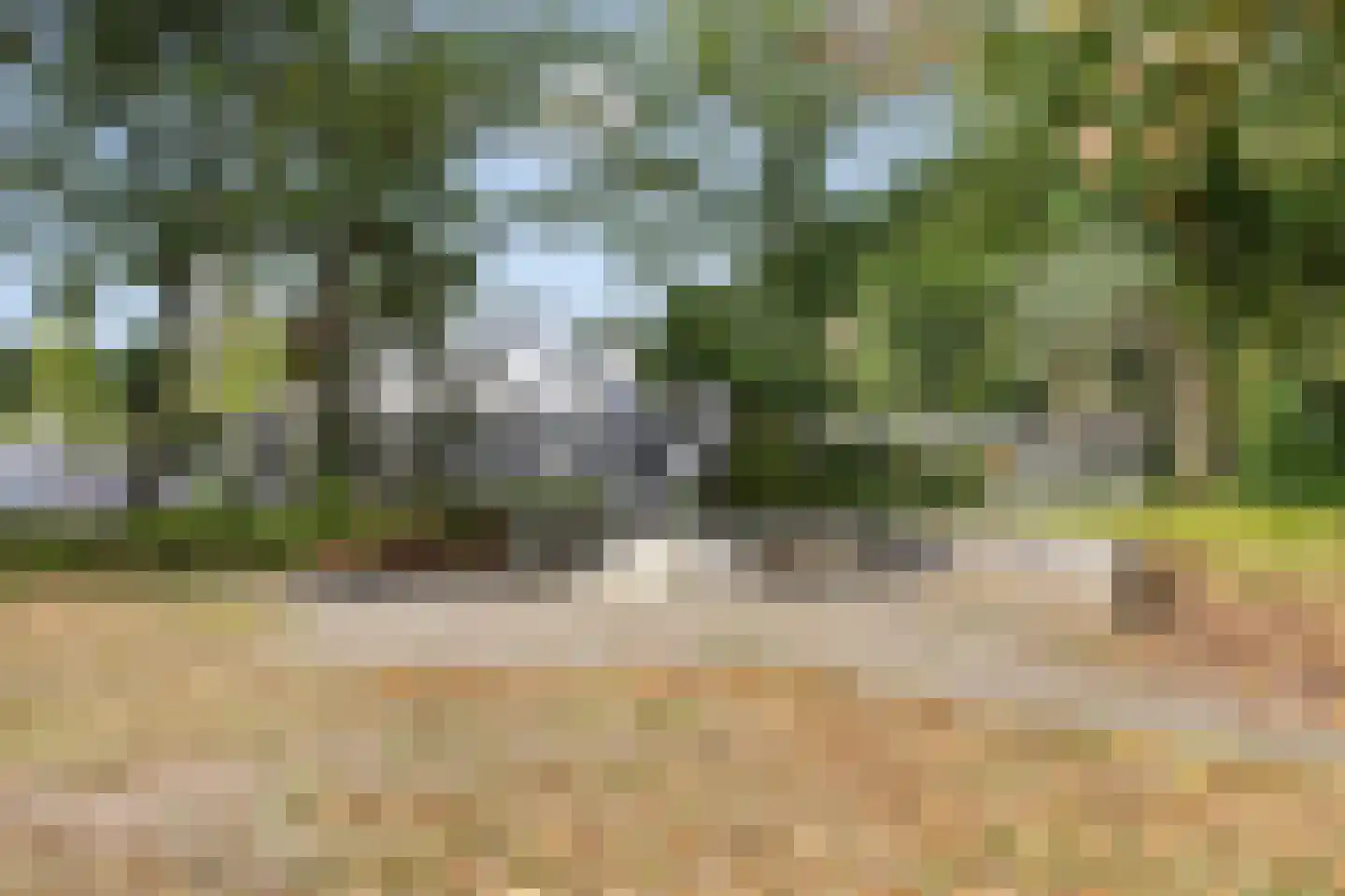 Dennerode 22 Helmond thumbnail 46