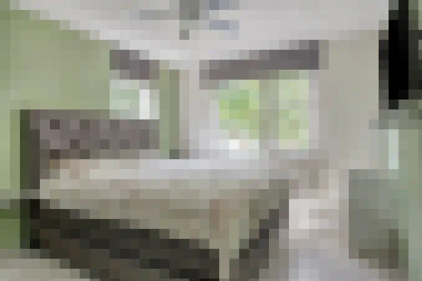 Dennerode 22 Helmond thumbnail 5
