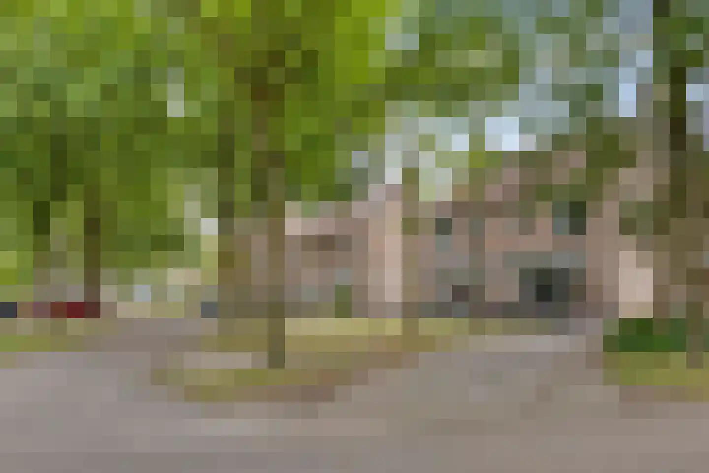 Dennerode 22 Helmond thumbnail 50