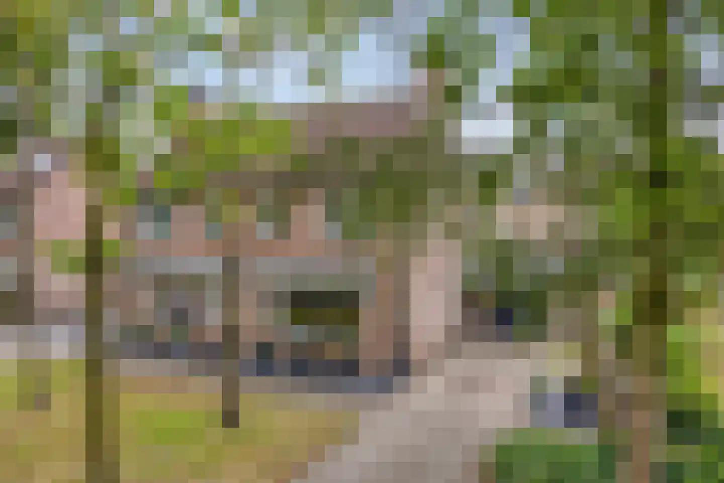 Dennerode 22 Helmond thumbnail 51