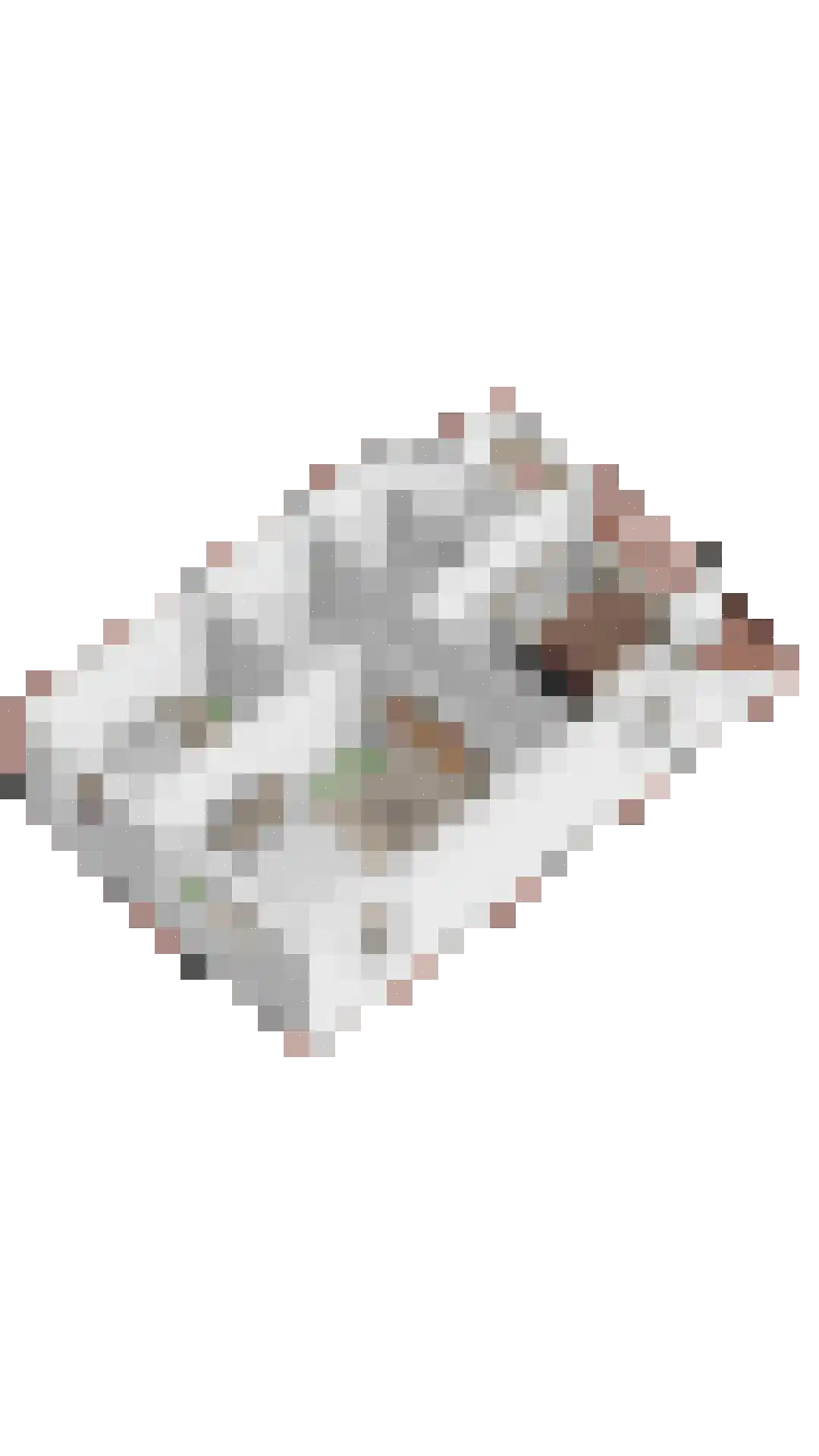 Dennerode 22 Helmond thumbnail 57