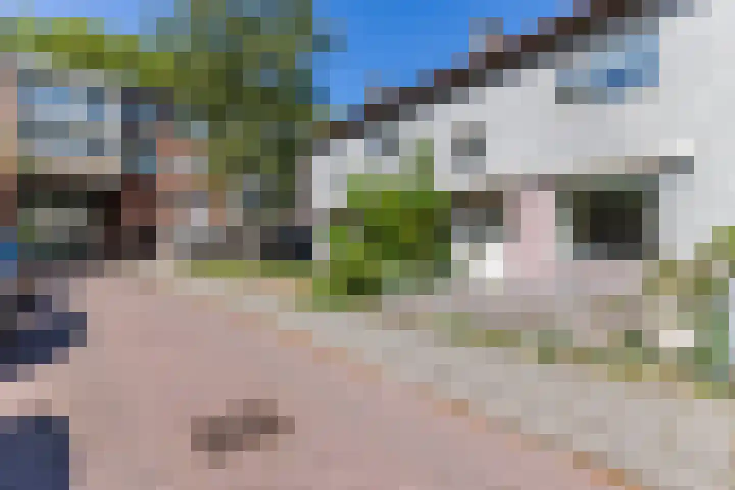 Dennestraat 66 Zaandam thumbnail 7
