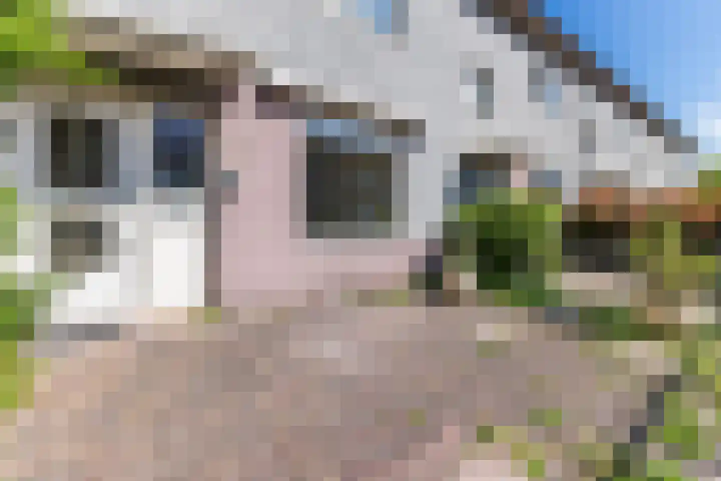 Dennestraat 66 Zaandam thumbnail 8