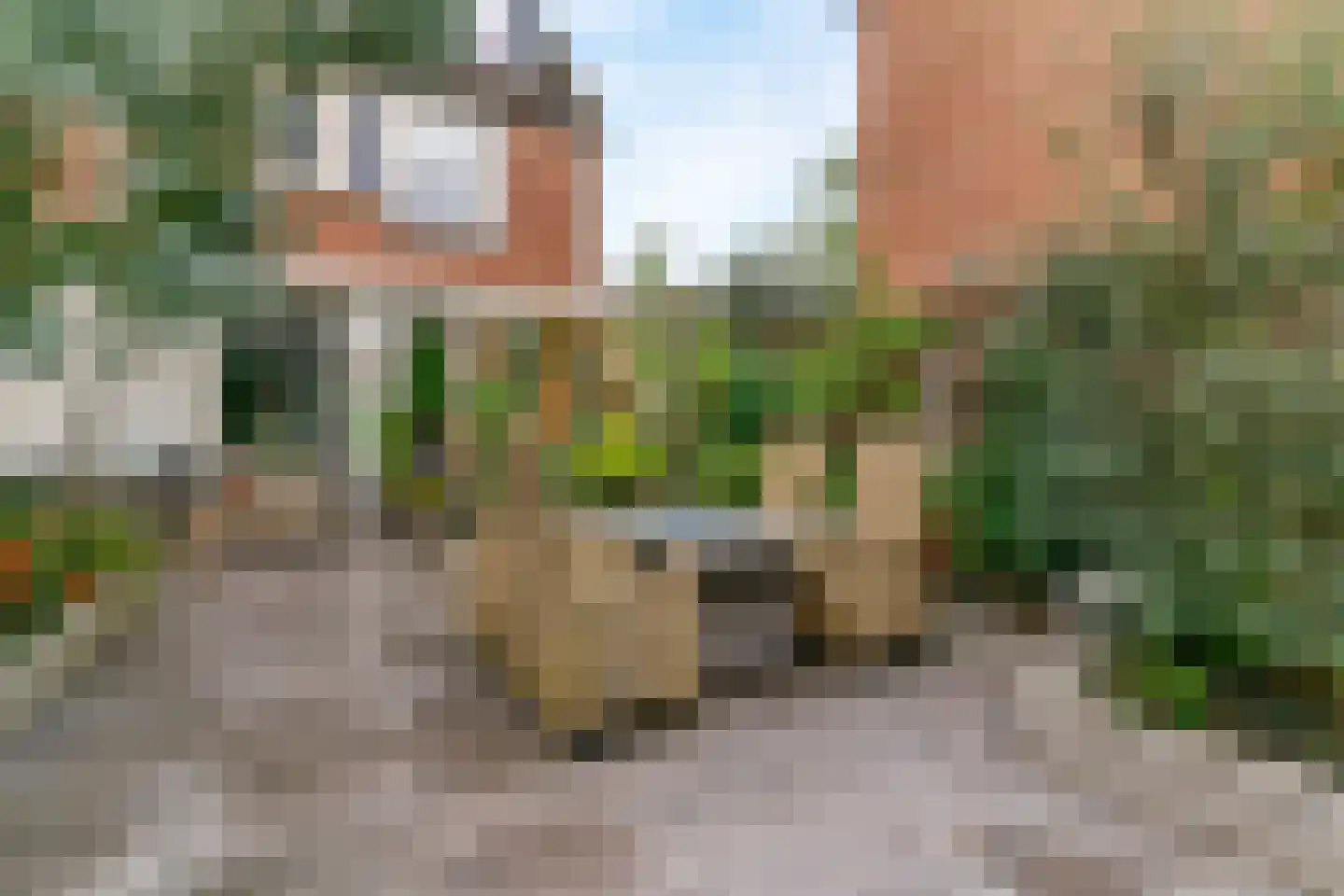 Dennevlam 19 Alphen aan den Rijn thumbnail 12