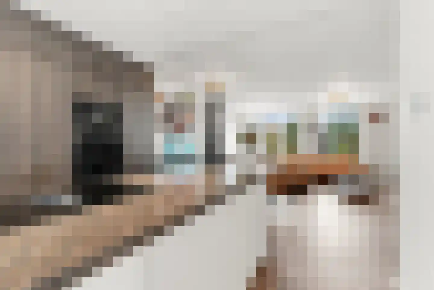 Dennevlam 19 Alphen aan den Rijn thumbnail 16