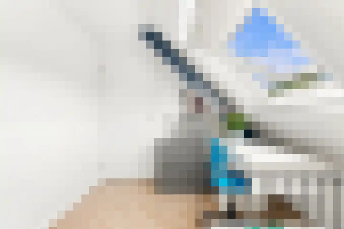 Dennevlam 19 Alphen aan den Rijn thumbnail 26