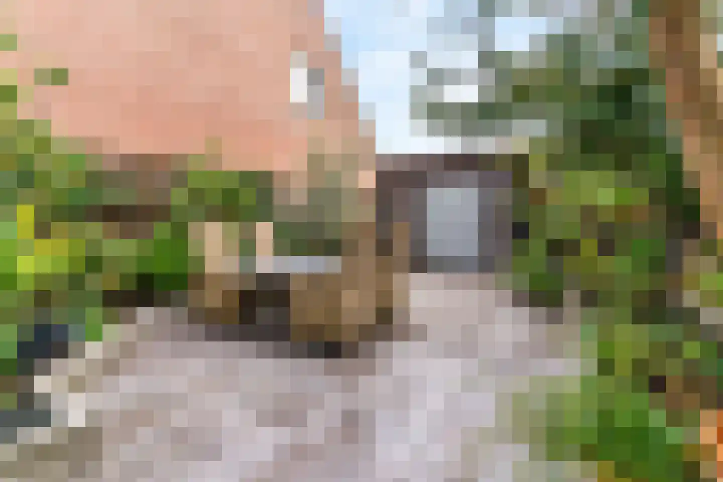Dennevlam 19 Alphen aan den Rijn thumbnail 27