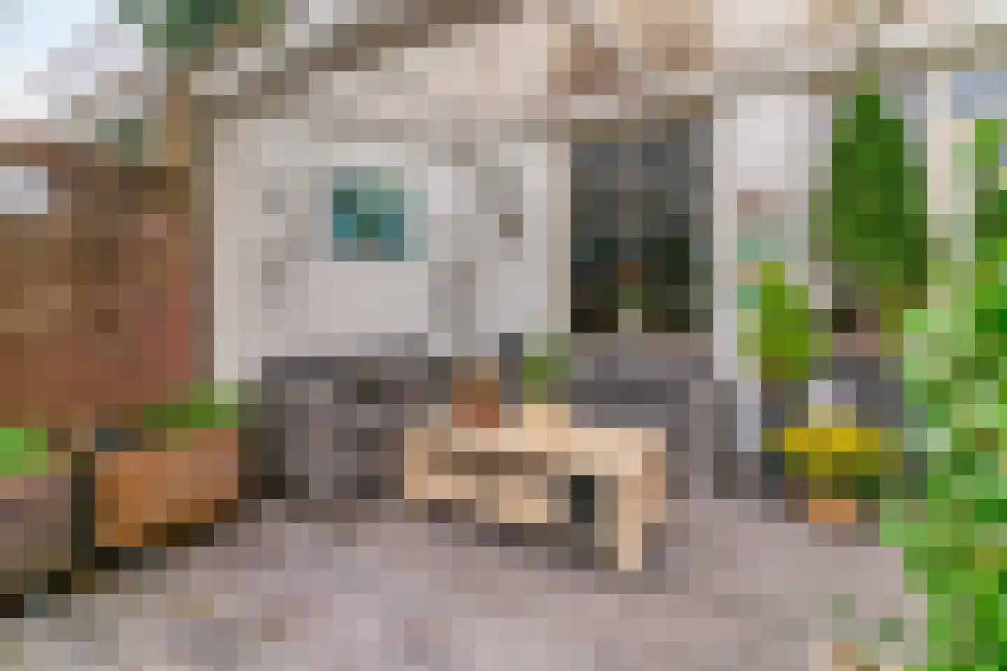 Dennevlam 19 Alphen aan den Rijn thumbnail 29