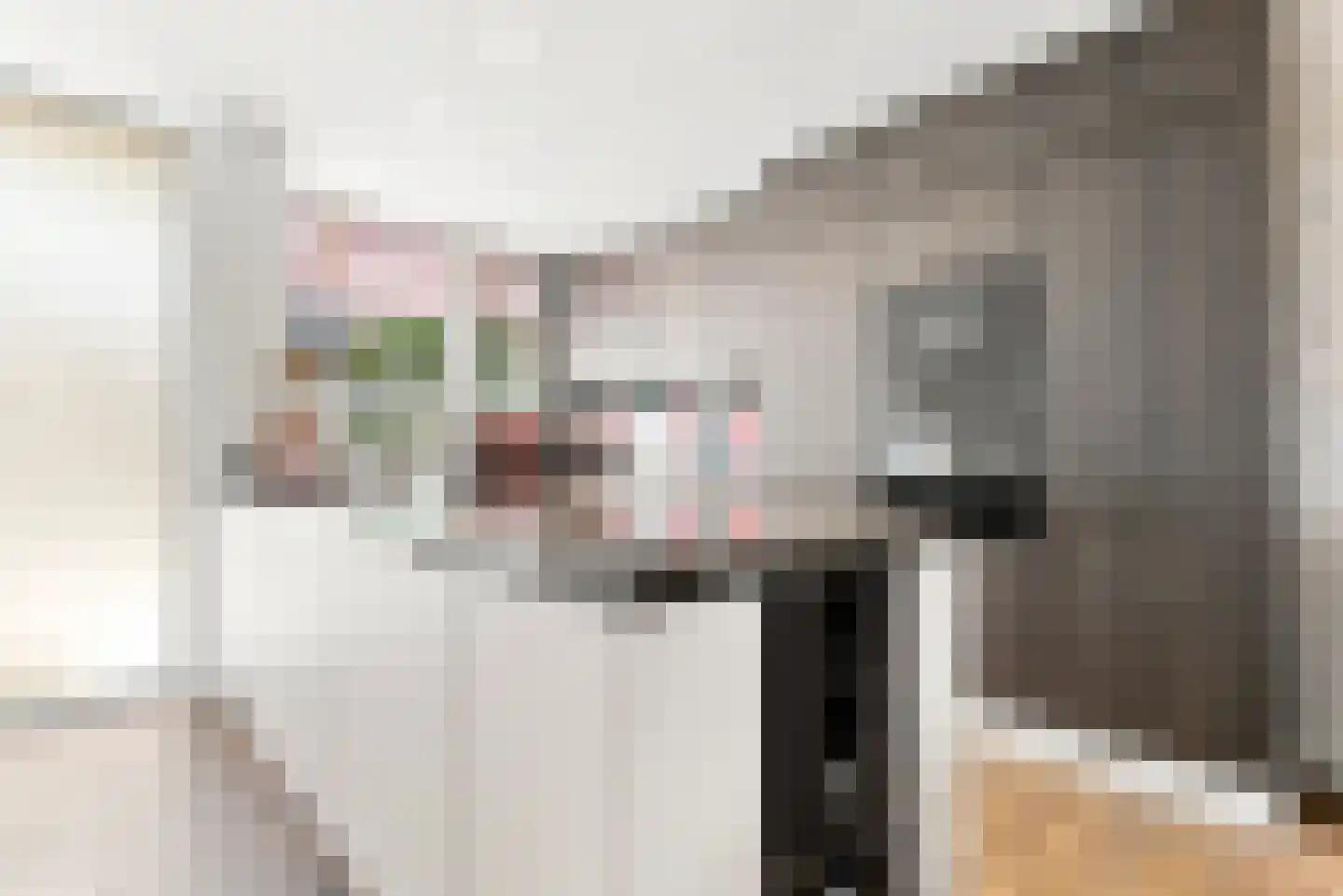 Dennevlam 19 Alphen aan den Rijn thumbnail 6