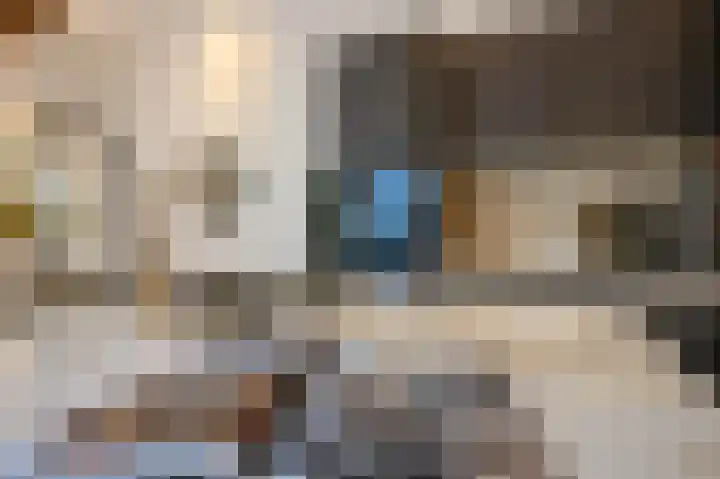 Denneweg 10 1 Den Haag thumbnail 12