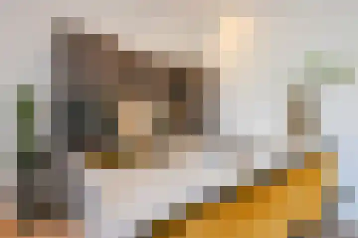 Denneweg 10 1 Den Haag thumbnail 13