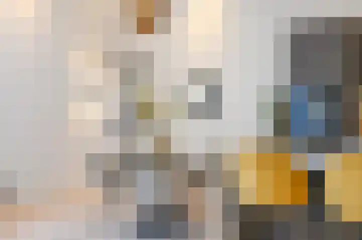 Denneweg 10 1 Den Haag thumbnail 15