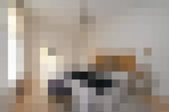 Denneweg 10 1 Den Haag thumbnail 17