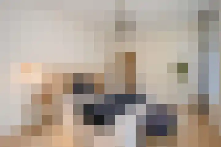 Denneweg 10 1 Den Haag thumbnail 18