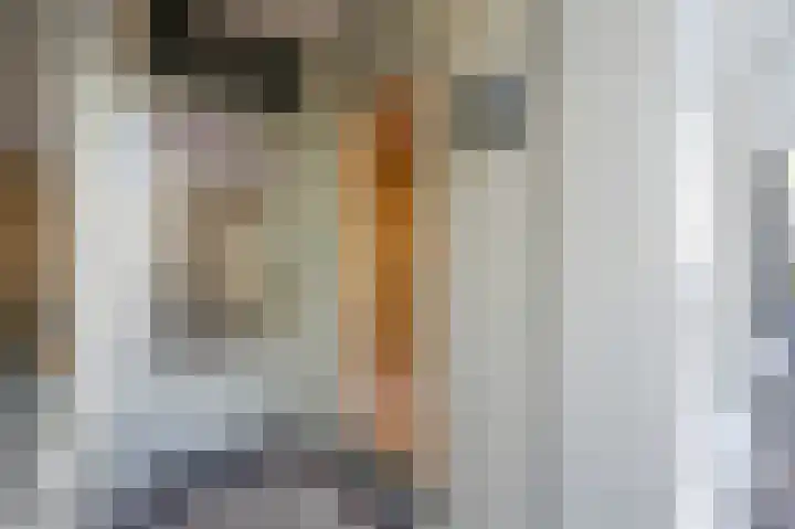 Denneweg 10 1 Den Haag thumbnail 26