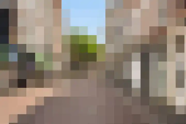 Denneweg 10 1 Den Haag thumbnail 31