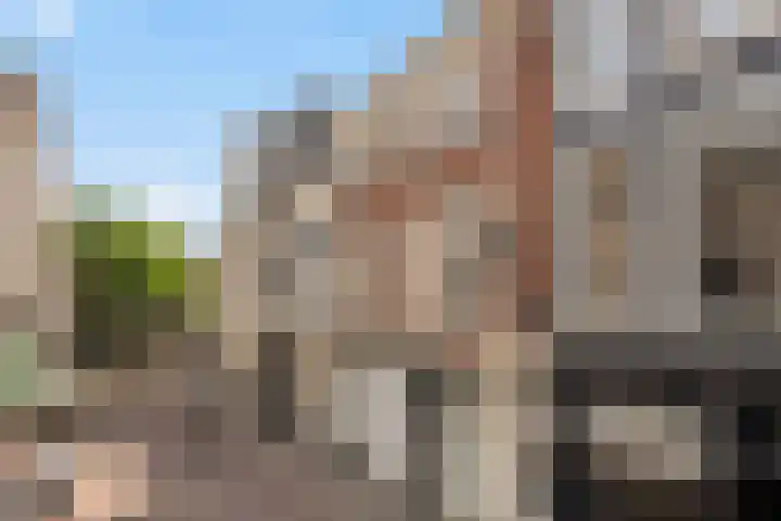 Denneweg 10 1 Den Haag thumbnail 32