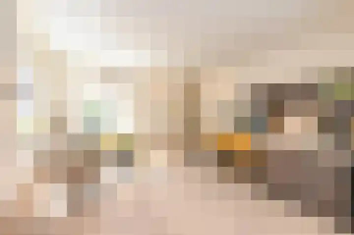 Denneweg 10 1 Den Haag thumbnail 33
