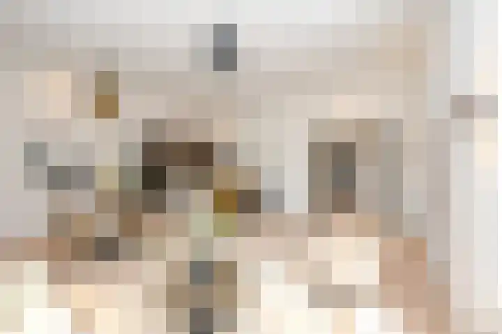 Denneweg 10 1 Den Haag thumbnail 7