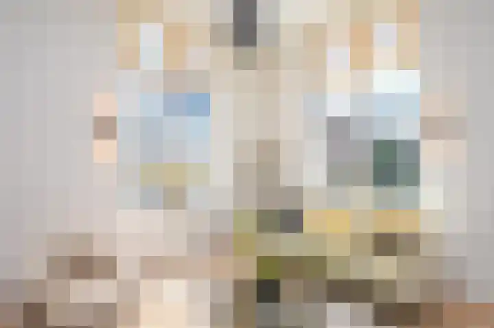 Denneweg 10 1 Den Haag thumbnail 8