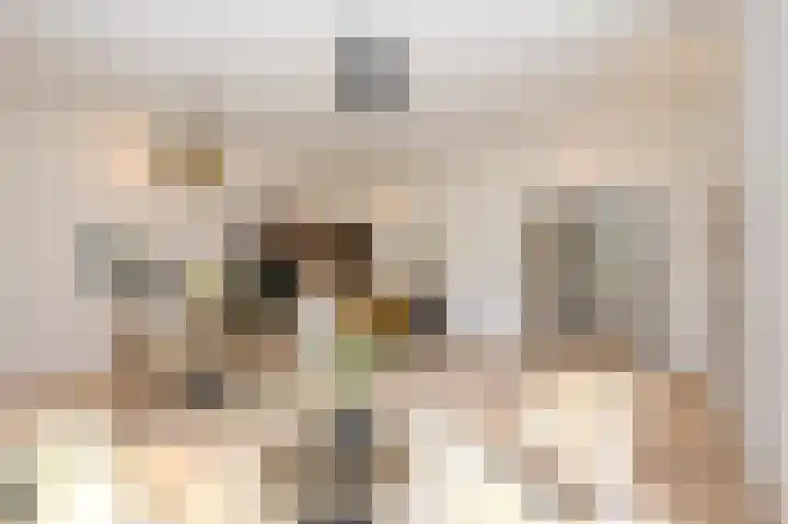 Denneweg 10 1 Den Haag thumbnail 9