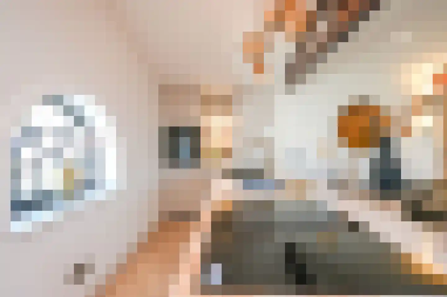 Denneweg 10 2 Den Haag thumbnail 12