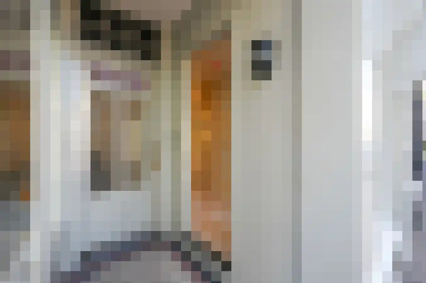 Denneweg 10 2 Den Haag thumbnail 33