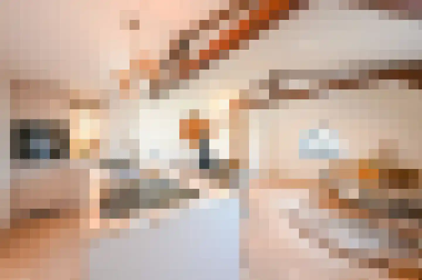 Denneweg 10 2 Den Haag thumbnail 4