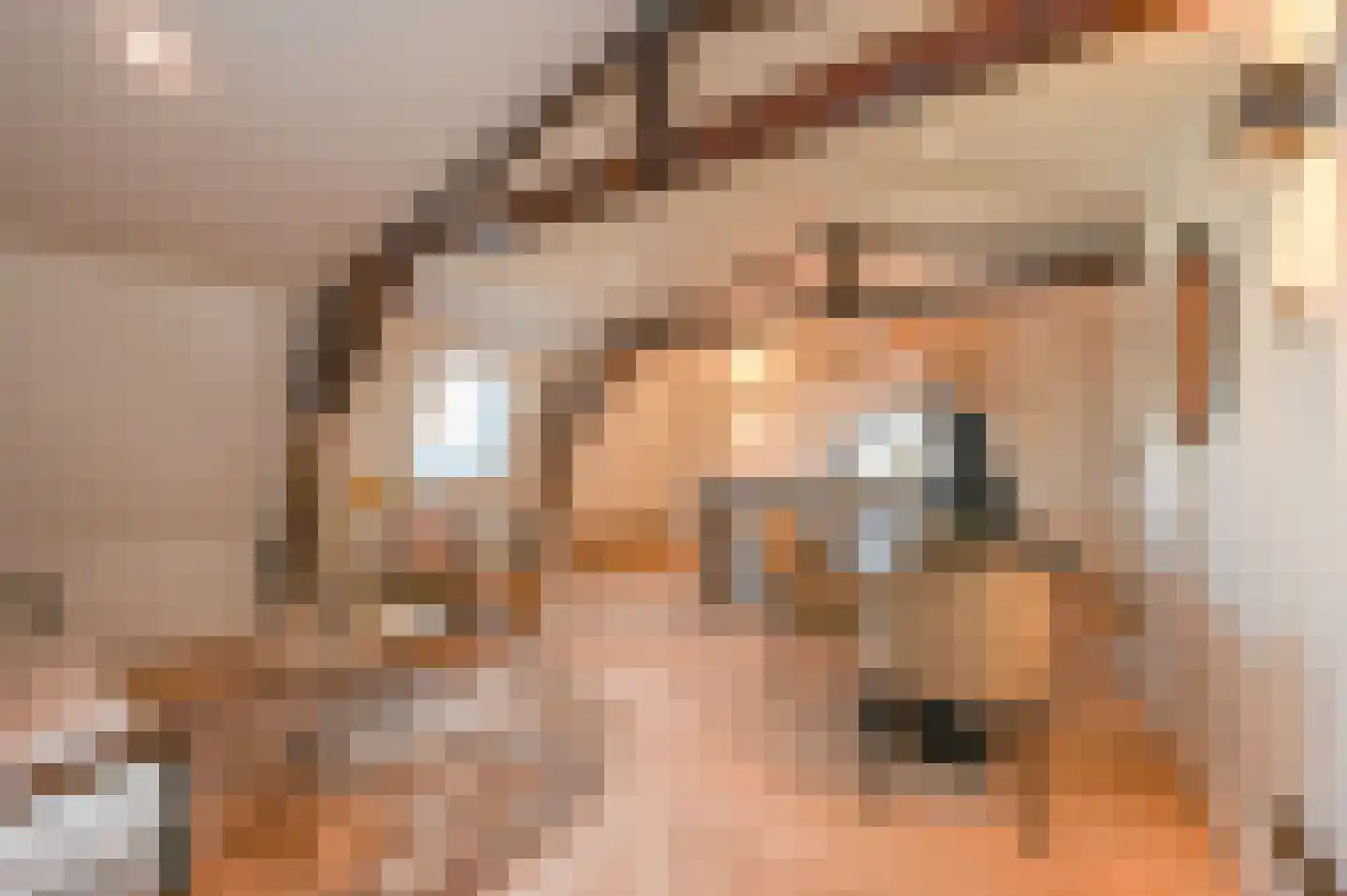 Denneweg 10 2 Den Haag thumbnail 8