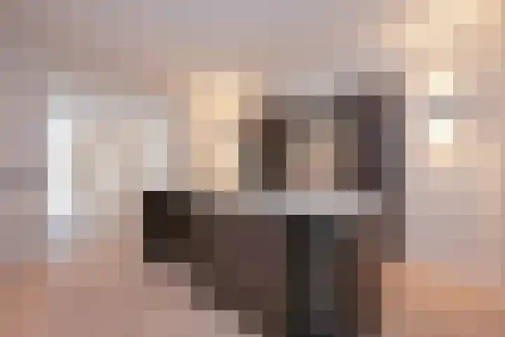 Denneweg 10 3 Den Haag thumbnail 10