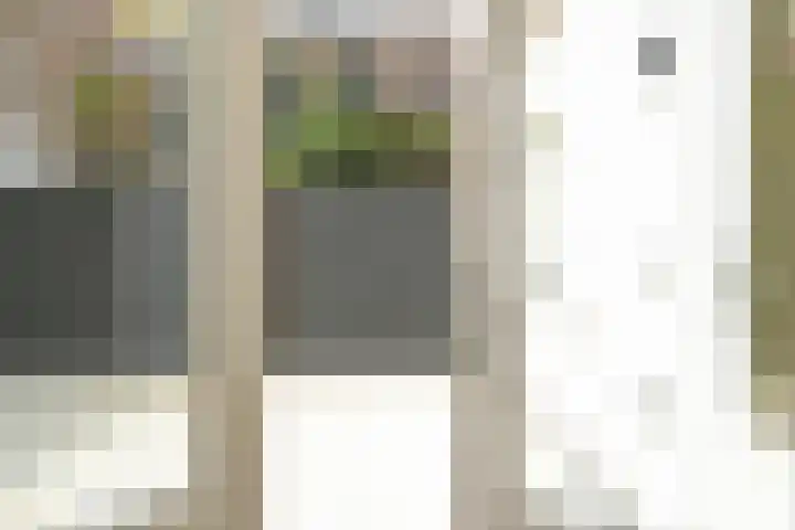 Denneweg 10 3 Den Haag thumbnail 28