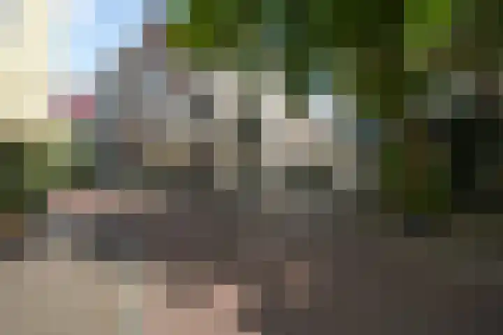 Denneweg 10 3 Den Haag thumbnail 34