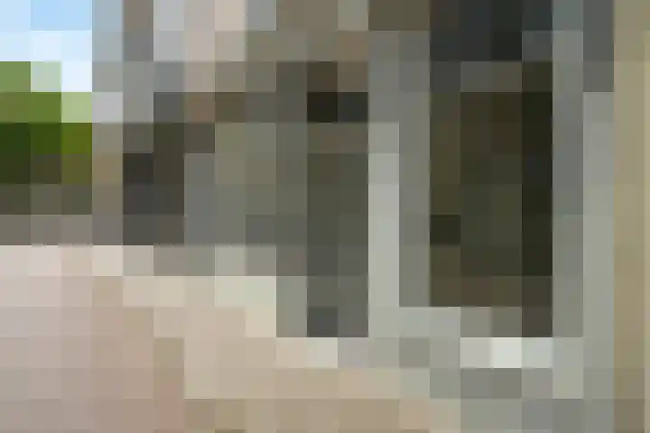 Denneweg 10 3 Den Haag thumbnail 5