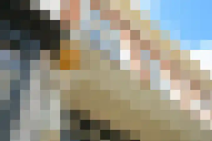 Denneweg 10 3 Den Haag thumbnail 6